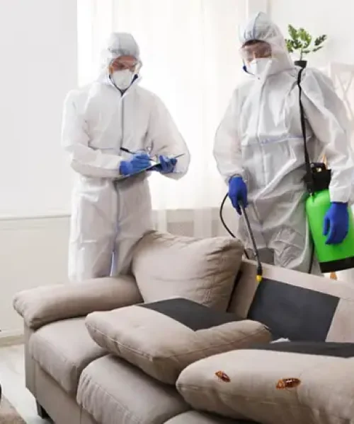 home-pest-control-1